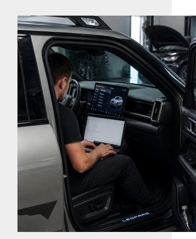 Русификация BYD Leopard 3 в Ломоносове по цене от 20388 р. | ФастМобиль-Лмн