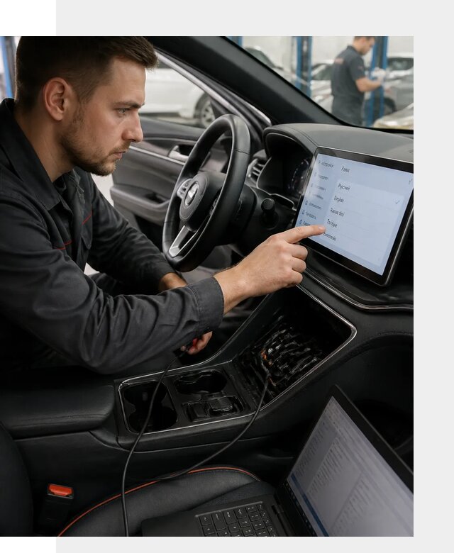 Профессиональная русификация BYD SONG Plus в Ломоносове